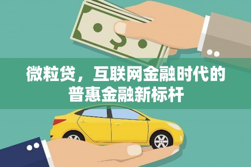 新园微粒贷，互联网金融时代的普惠金融新标杆
