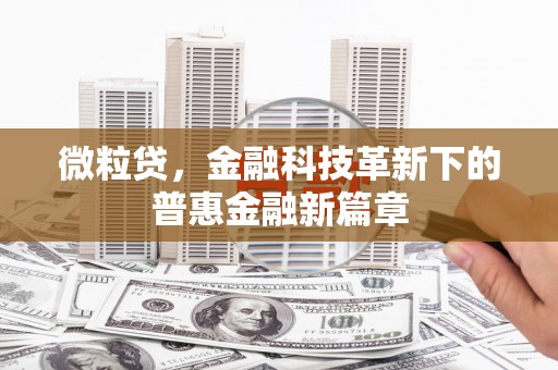 新园微粒贷，金融科技革新下的普惠金融新篇章