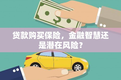 新园贷款购买保险，金融智慧还是潜在风险？