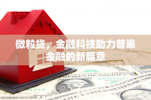 新园微粒贷，金融科技助力普惠金融的新篇章