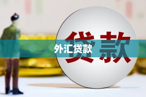 新园外汇贷款