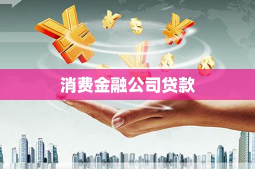 新园消费金融公司贷款