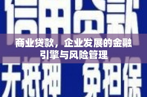新园商业贷款，企业发展的金融引擎与风险管理