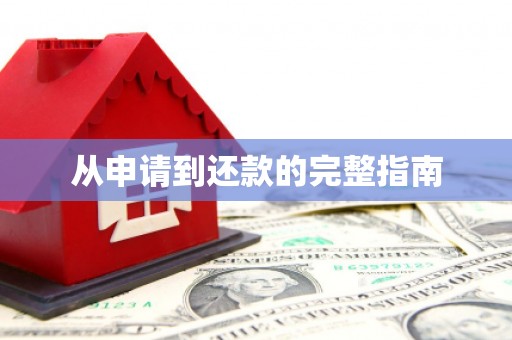 新园从申请到还款的完整指南