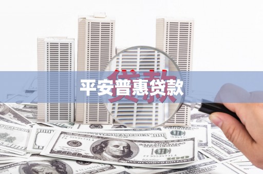 新园平安普惠贷款