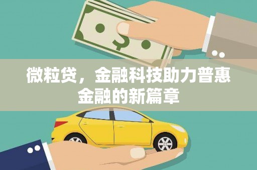新园微粒贷，金融科技助力普惠金融的新篇章