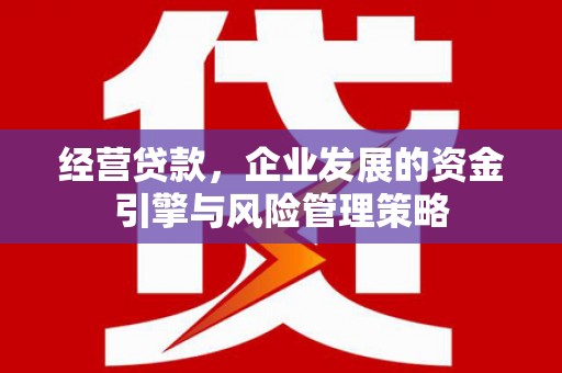 新园经营贷款，企业发展的资金引擎与风险管理策略