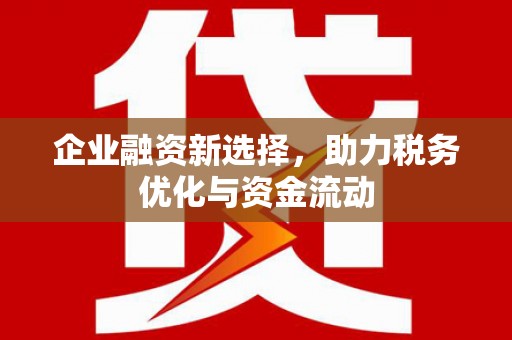新园企业融资新选择，助力税务优化与资金流动