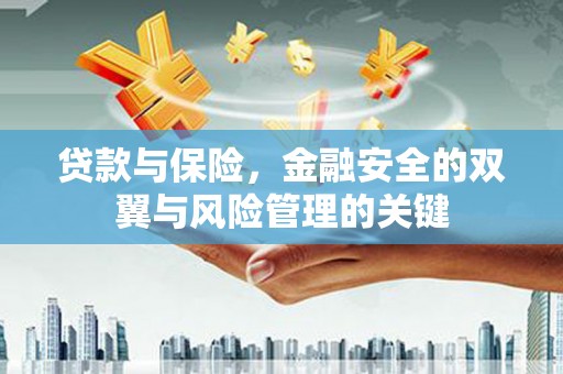 新园贷款与保险，金融安全的双翼与风险管理的关键