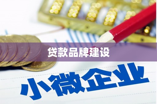 新园贷款品牌建设