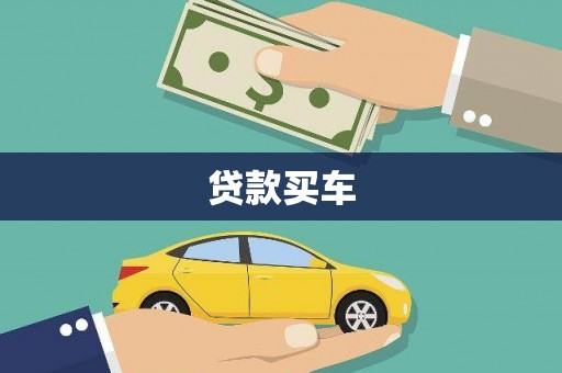 新园贷款买车