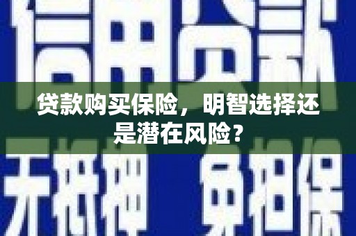 新园贷款购买保险，明智选择还是潜在风险？
