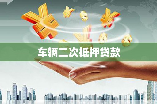新园车辆二次抵押贷款