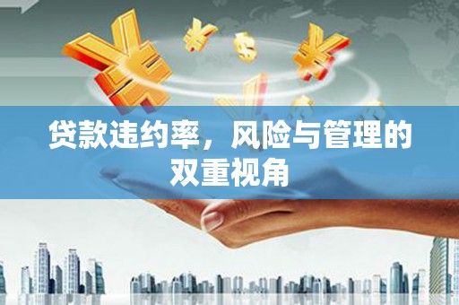 新园贷款违约率，风险与管理的双重视角
