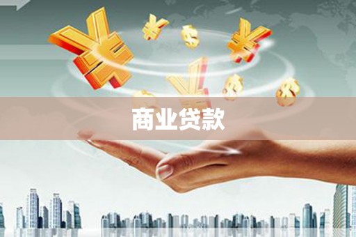 新园商业贷款