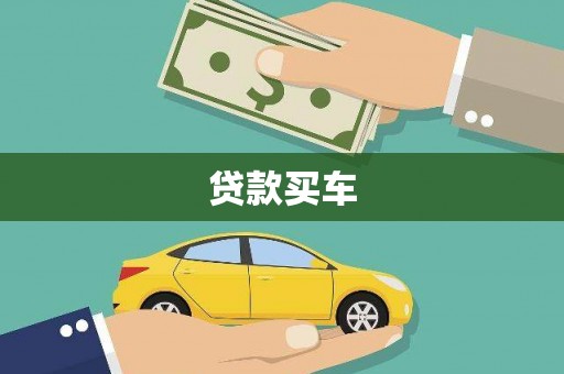 新园贷款买车