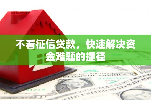 新园不看征信贷款，快速解决资金难题的捷径