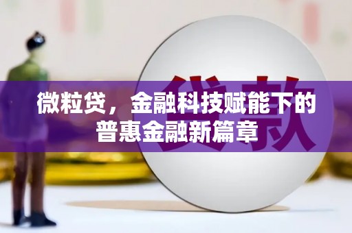 新园微粒贷，金融科技赋能下的普惠金融新篇章