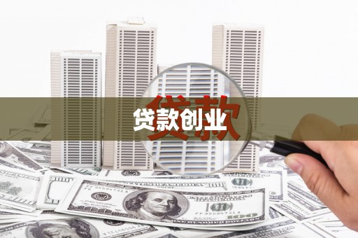 新园贷款创业