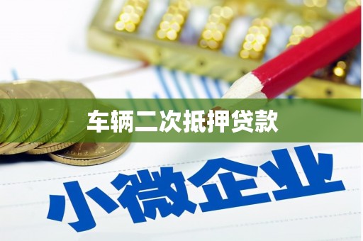 新园车辆二次抵押贷款