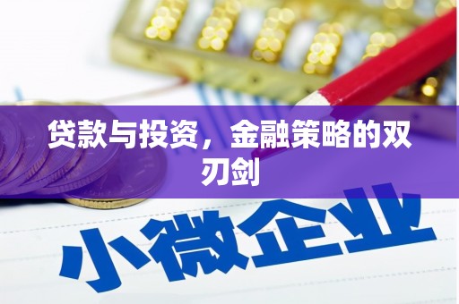 新园贷款与投资，金融策略的双刃剑