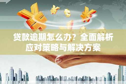 新园贷款逾期怎么办？全面解析应对策略与解决方案