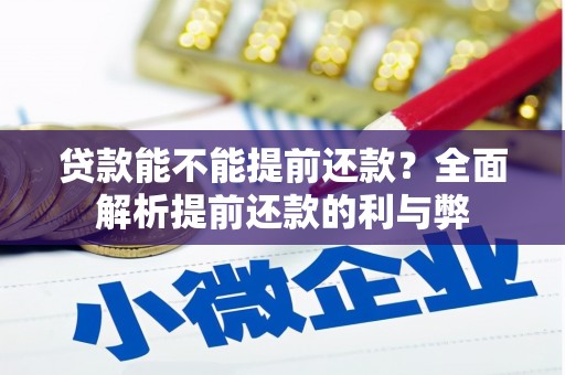 新园贷款能不能提前还款？全面解析提前还款的利与弊