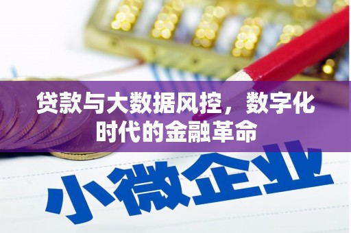 新园贷款与大数据风控，数字化时代的金融革命