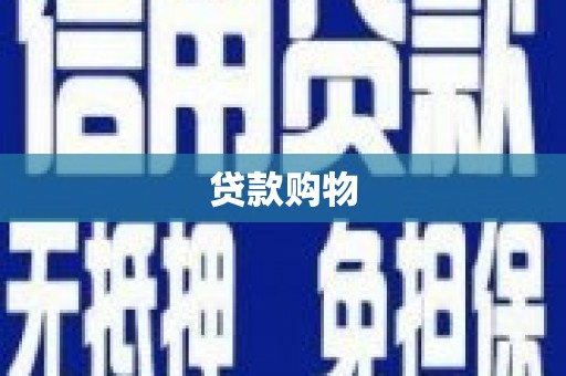 新园贷款购物