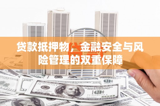 新园贷款抵押物，金融安全与风险管理的双重保障