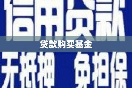 新园贷款购买基金