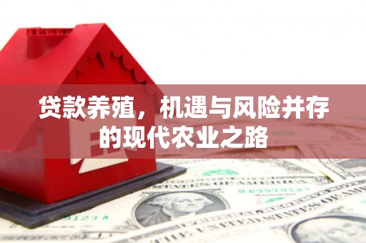新园贷款养殖，机遇与风险并存的现代农业之路