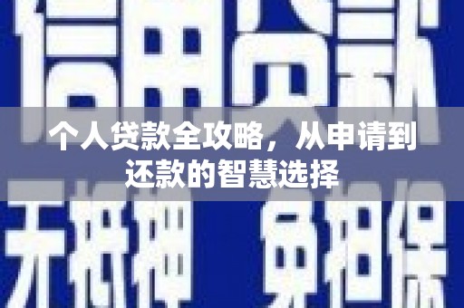 新园个人贷款全攻略，从申请到还款的智慧选择