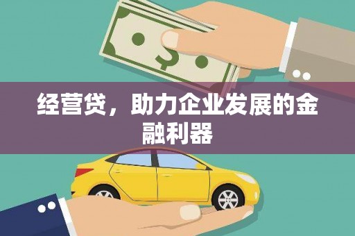 新园经营贷，助力企业发展的金融利器