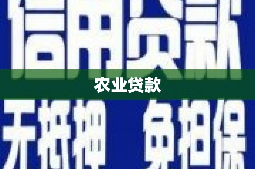 新园农业贷款