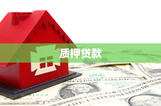 新园质押贷款