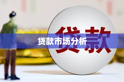 新园贷款市场分析
