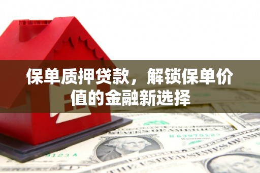 新园保单质押贷款，解锁保单价值的金融新选择