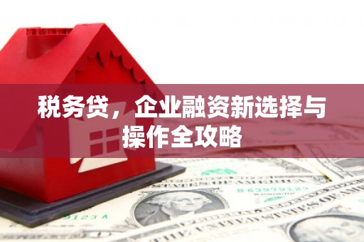 新园税务贷，企业融资新选择与操作全攻略