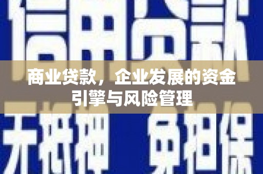 新园商业贷款，企业发展的资金引擎与风险管理