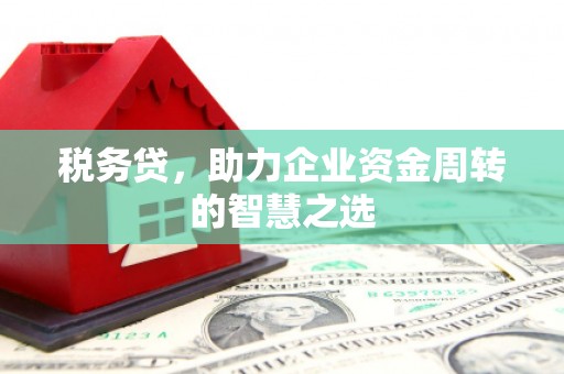 新园税务贷，助力企业资金周转的智慧之选