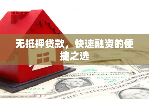 新园无抵押贷款，快速融资的便捷之选