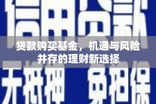 新园贷款购买基金，机遇与风险并存的理财新选择
