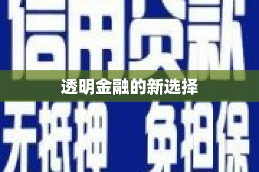 新园透明金融的新选择