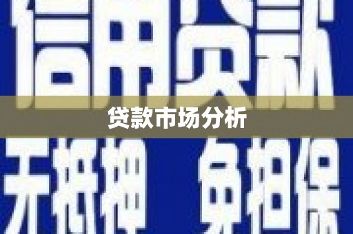 新园贷款市场分析