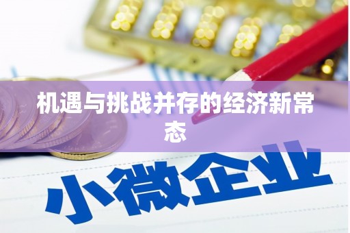 新园机遇与挑战并存的经济新常态