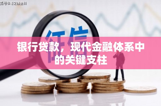 新园银行贷款，现代金融体系中的关键支柱