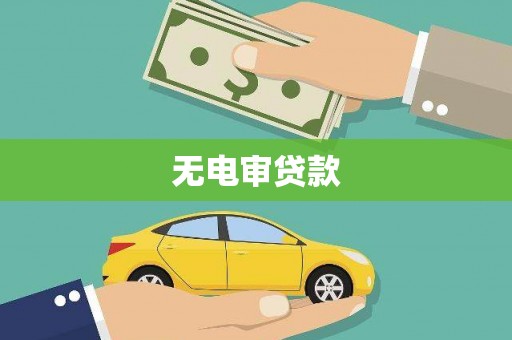 新园无电审贷款