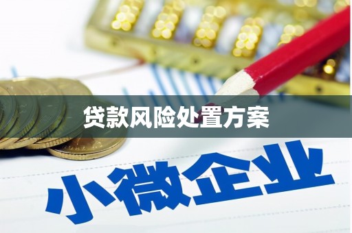 新园贷款风险处置方案