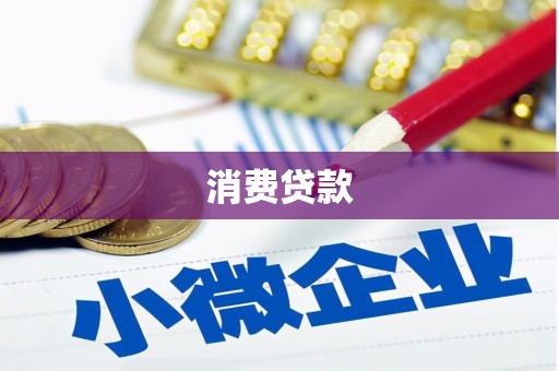 新园消费贷款
